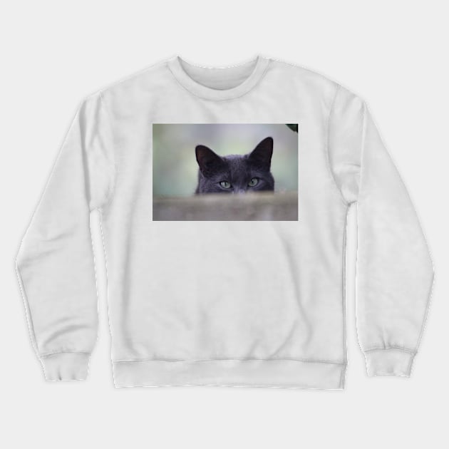 Scaredy-cat Crewneck Sweatshirt by SandiLin